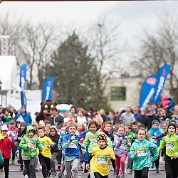 14. Mali kraški maraton, Sežana 23.3.2014