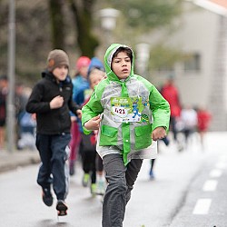 14. Mali kraški maraton, Sežana 23.3.2014