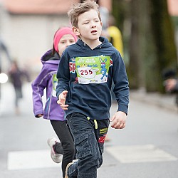 14. Mali kraški maraton, Sežana 23.3.2014