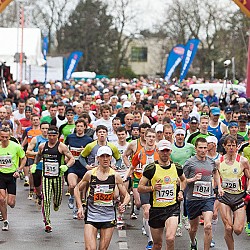 14. Mali kraški maraton, Sežana 23.3.2014