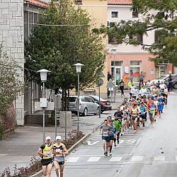 14. Mali kraški maraton, Sežana 23.3.2014