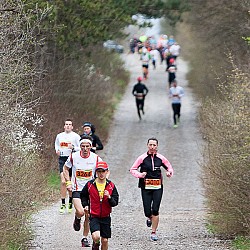 14. Mali kraški maraton, Sežana 23.3.2014