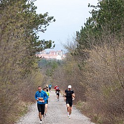 14. Mali kraški maraton, Sežana 23.3.2014