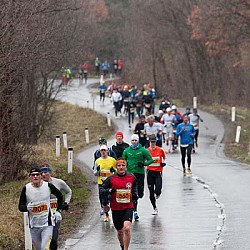 13. Mali kraški maraton, Sežana 24.3.2013