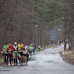 13. Mali kraški maraton, Sežana 24.3.2013
