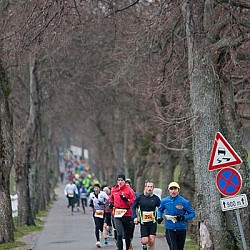 13. Mali kraški maraton, Sežana 24.3.2013