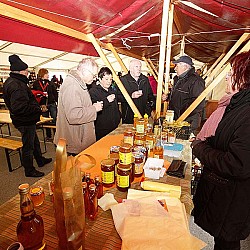13. Mali kraški maraton, Sežana 24.3.2013