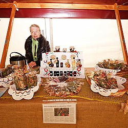 13. Mali kraški maraton, Sežana 24.3.2013