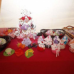 13. Mali kraški maraton, Sežana 24.3.2013