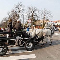 12. Mali kraški maraton 2012