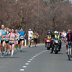 12. Mali kraški maraton 2012