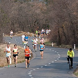 12. Mali kraški maraton 2012