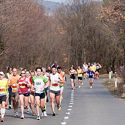 12. Mali kraški maraton 2012