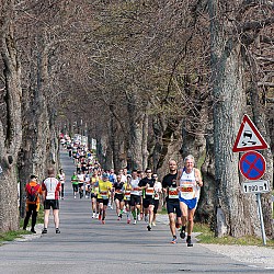 12. Mali kraški maraton 2012