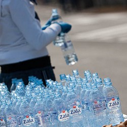 12. Mali kraški maraton 2012