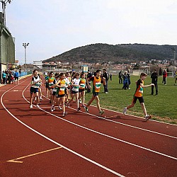 12. Mali kraški maraton 2012