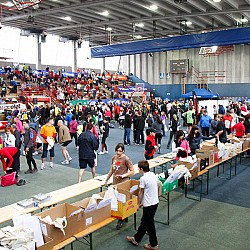 11. Mali kraški maraton 2011