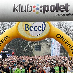 11. Mali kraški maraton 2011