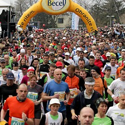 11. Mali kraški maraton 2011