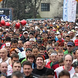 11. Mali kraški maraton 2011