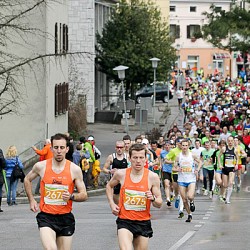 11. Mali kraški maraton 2011