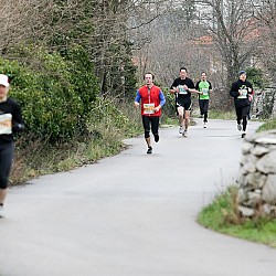 11. Mali kraški maraton 2011