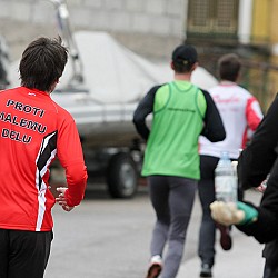 11. Mali kraški maraton 2011