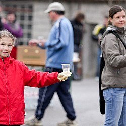 11. Mali kraški maraton 2011