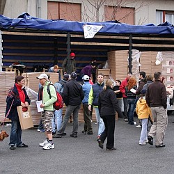 10. Mali kraški maraton, Sežana, 21. marec 2010