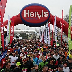 10. Mali kraški maraton, Sežana, 21. marec 2010