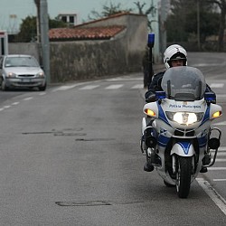 10. Mali kraški maraton, Sežana, 21. marec 2010